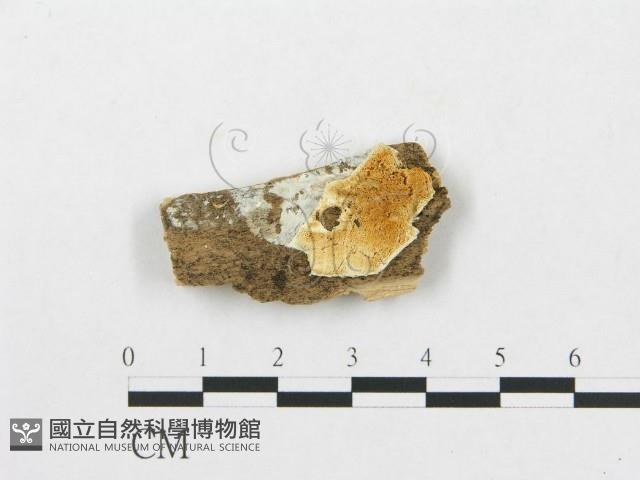 登錄號:F0007249藏品圖，第1張