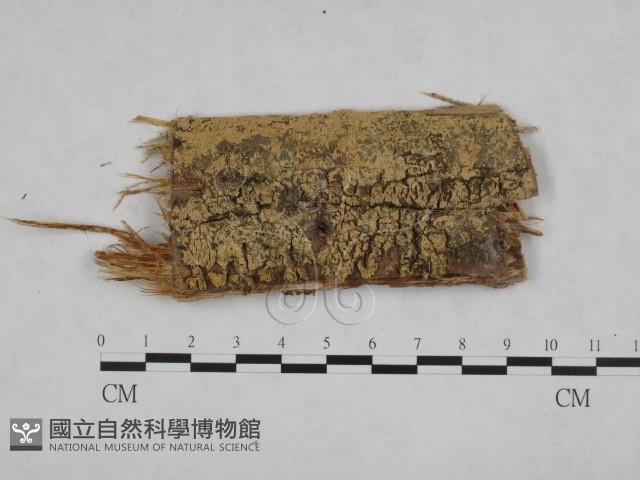 登錄號:F0024849藏品圖，第3張