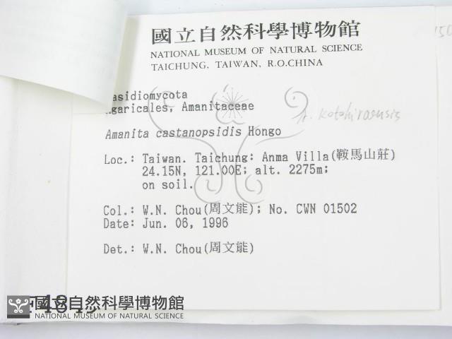 登錄號:F0004849藏品圖，第3張