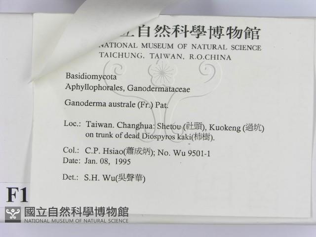 登錄號:F0012849藏品圖，第3張