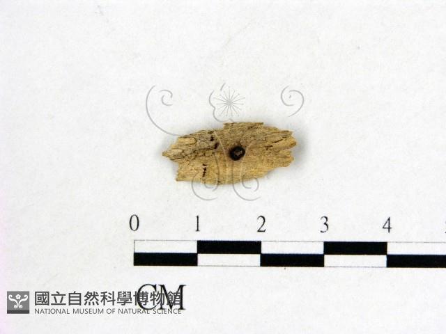登錄號:F0009849藏品圖，第1張