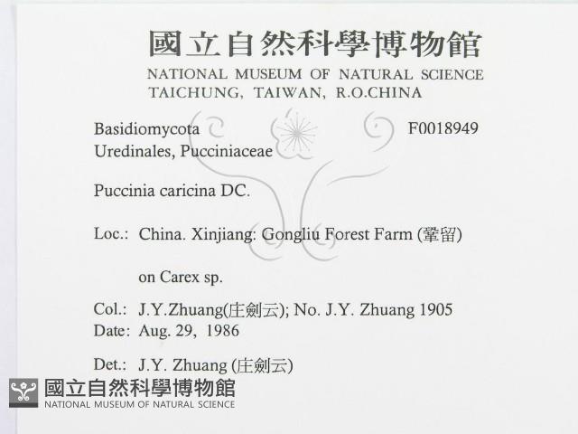 登錄號:F0018949藏品圖，第3張