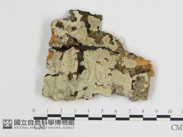登錄號:F0000949藏品圖，第1張