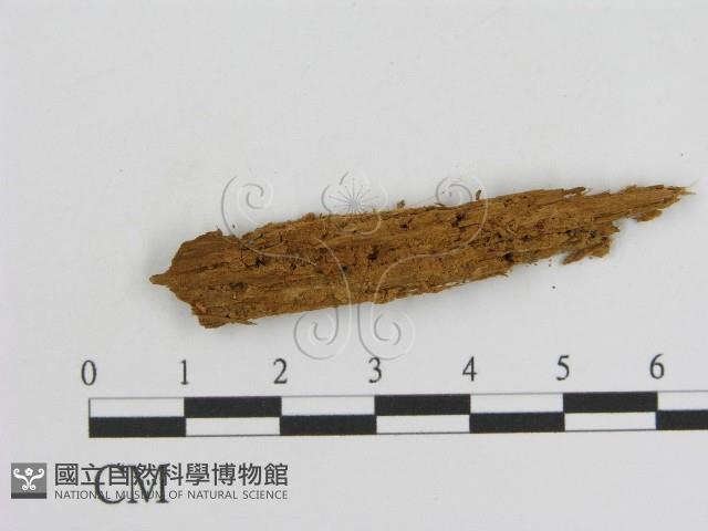 登錄號:F0016649藏品圖，第1張