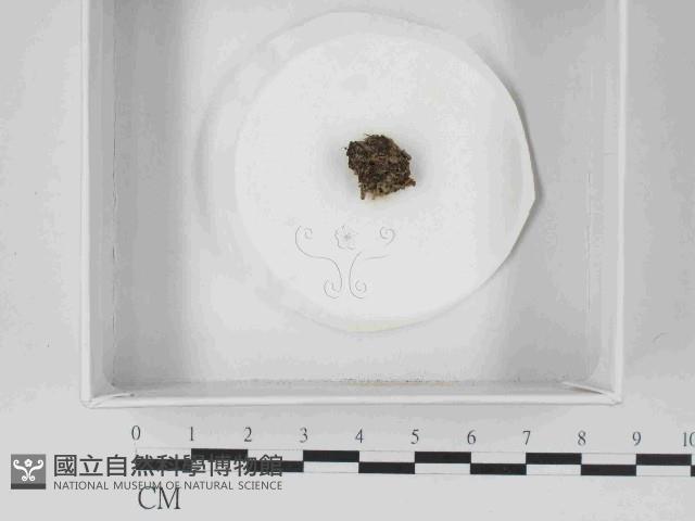 登錄號:F0014649藏品圖，第1張