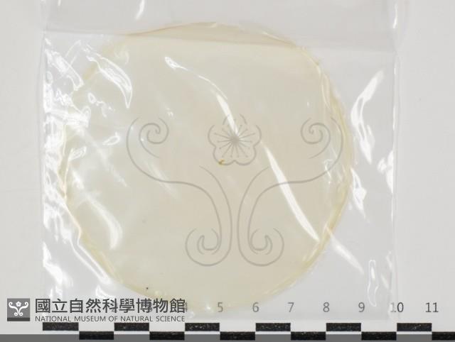 登錄號:F0034649藏品圖，第1張