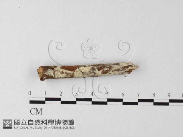 登錄號:F0025649藏品圖，第1張