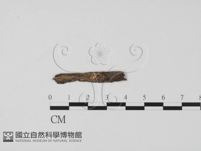 登錄號:F0019649藏品圖，第1張