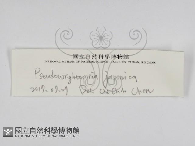 登錄號:F0028449藏品圖，第3張