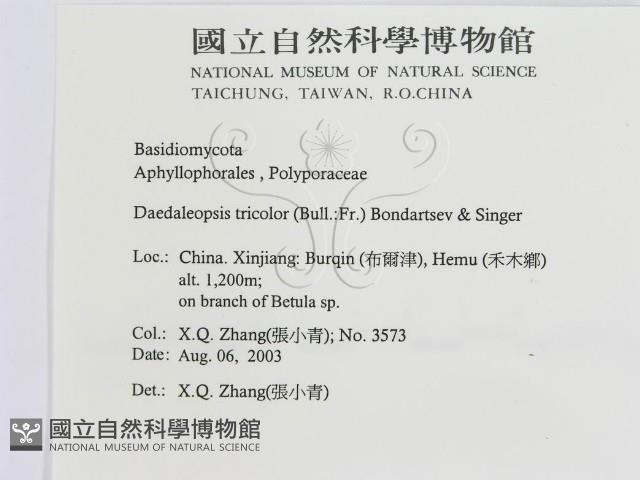 登錄號:F0016449藏品圖，第3張