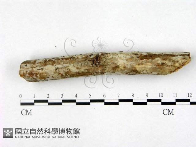 登錄號:F0022449藏品圖，第1張