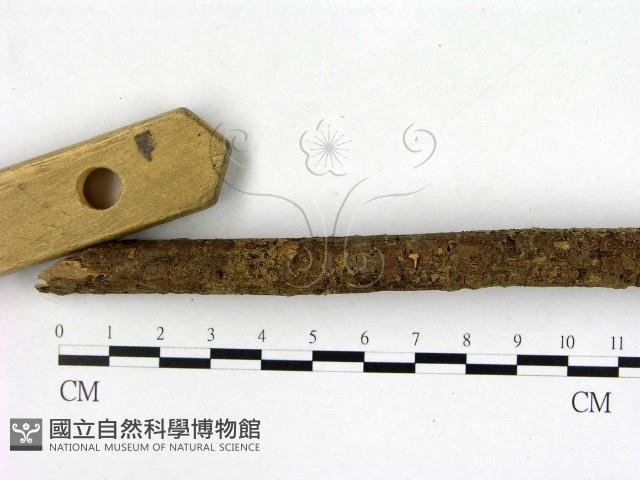 登錄號:F0003449藏品圖，第1張