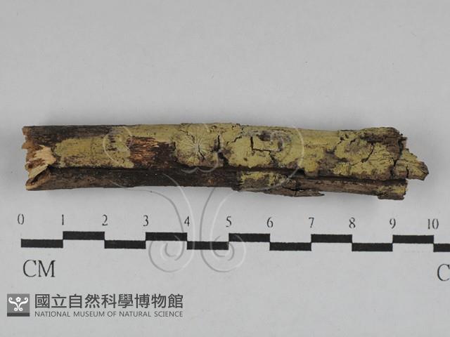 登錄號:F0028749藏品圖，第1張
