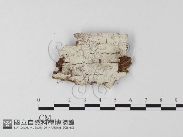 登錄號:F0022749藏品圖，第1張