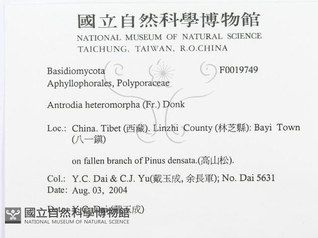館號:F0019749藏品圖，第3張