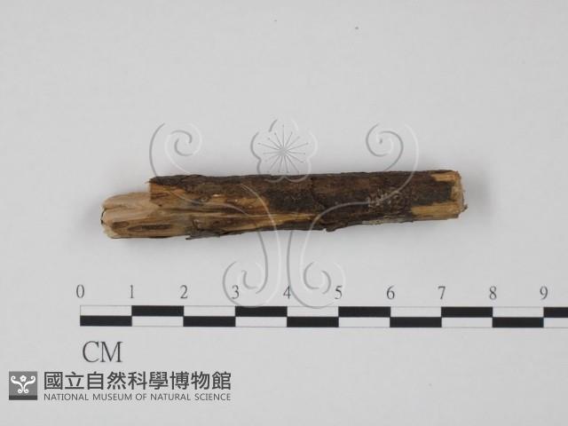 登錄號:F0013749藏品圖，第1張