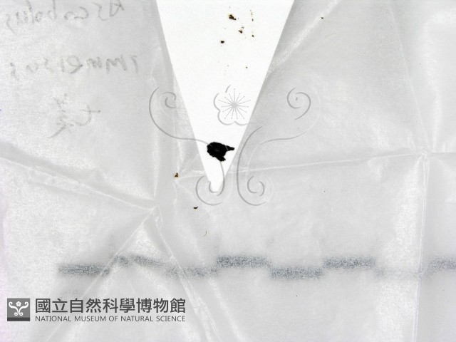 登錄號:F0022549藏品圖，第1張