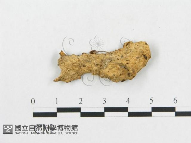 登錄號:F0007549藏品圖，第1張