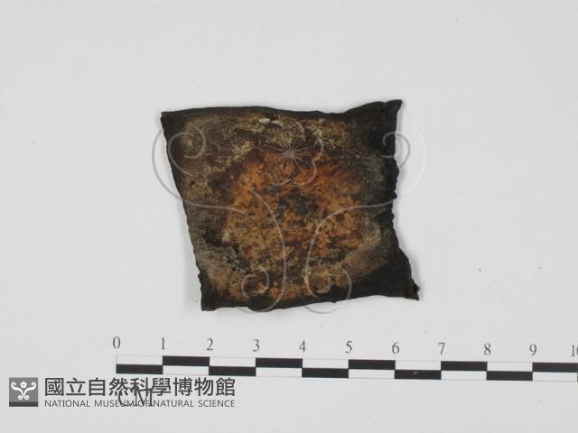 登錄號:F0010149藏品圖，第1張