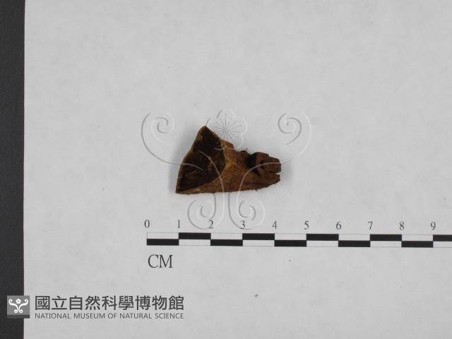 登錄號:F0006149藏品圖，第1張