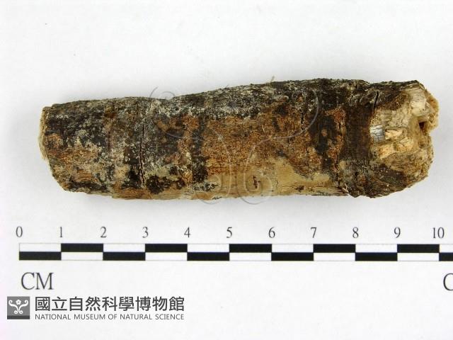 登錄號:F0022149藏品圖，第1張