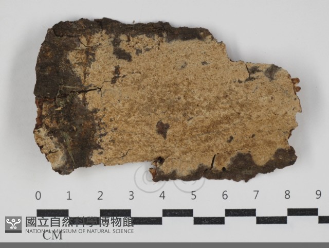 登錄號:F0034049藏品圖，第1張