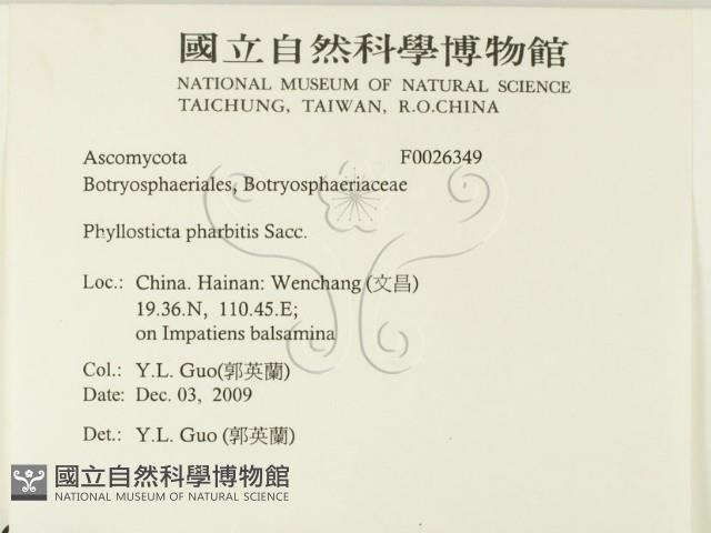 登錄號:F0026349藏品圖，第3張