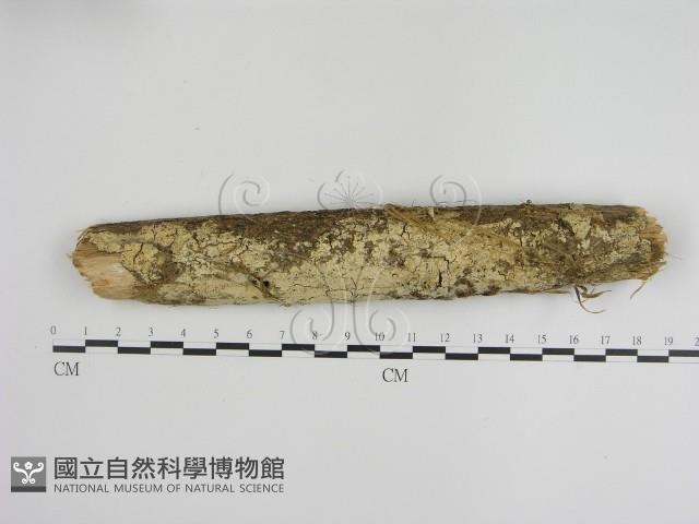 登錄號:F0001349藏品圖，第1張
