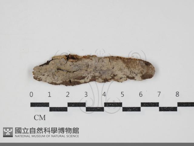 登錄號:F0034349藏品圖，第1張