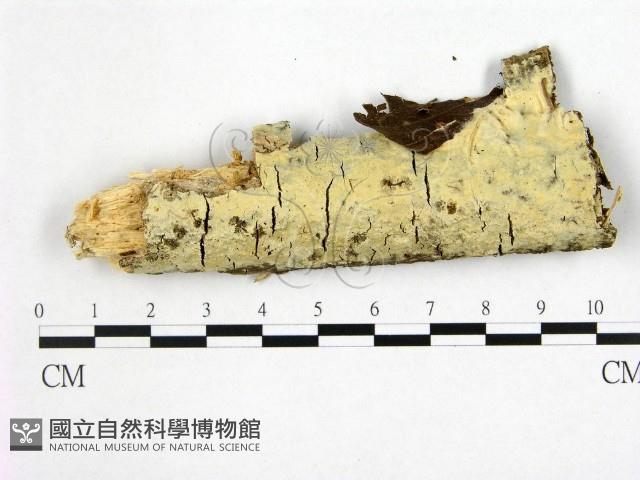 登錄號:F0022349藏品圖，第1張