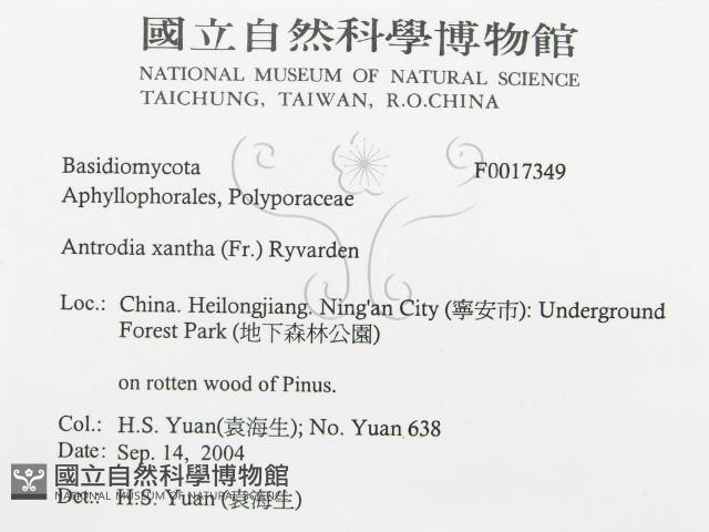 登錄號:F0017349藏品圖，第3張