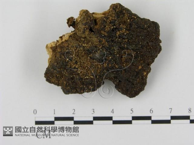 登錄號:F0005349藏品圖，第1張