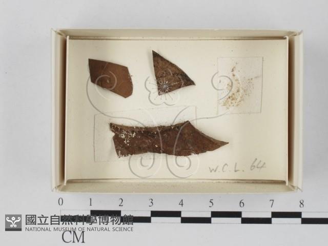 登錄號:F0021239藏品圖，第1張