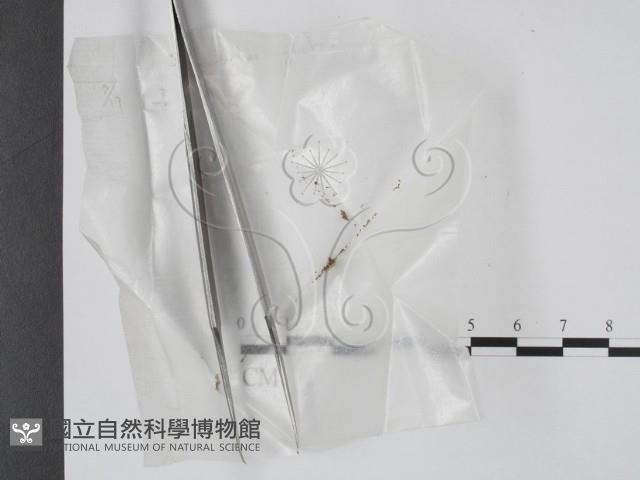 登錄號:F0002239藏品圖，第1張