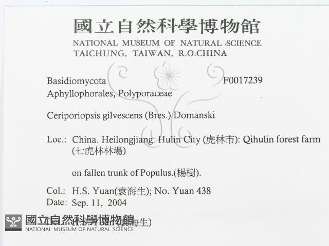 登錄號:F0017239藏品圖，第3張