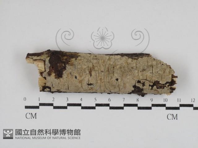 登錄號:F0030839藏品圖，第1張