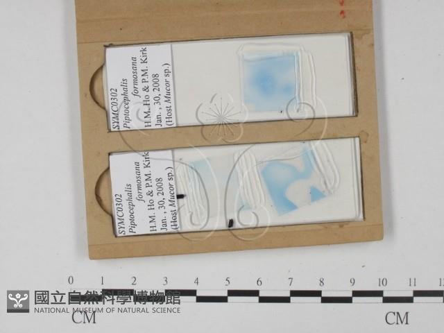 登錄號:F0021839藏品圖，第1張
