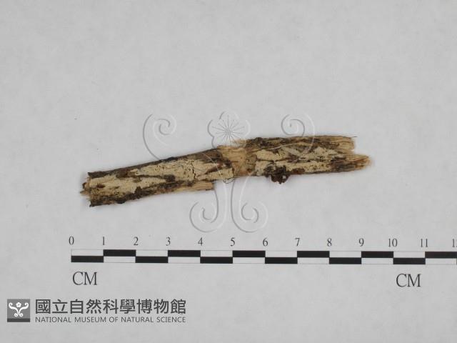 Accession Number:F0024839 Collection Image, Figure 1, Total 3 Figures