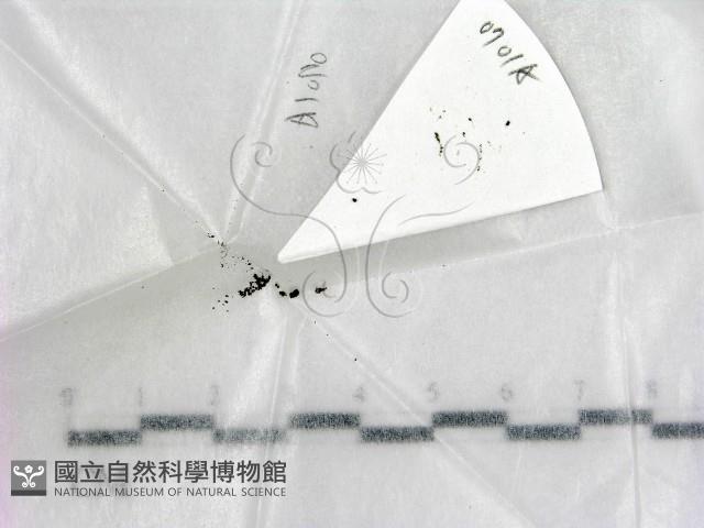登錄號:F0020939藏品圖，第1張