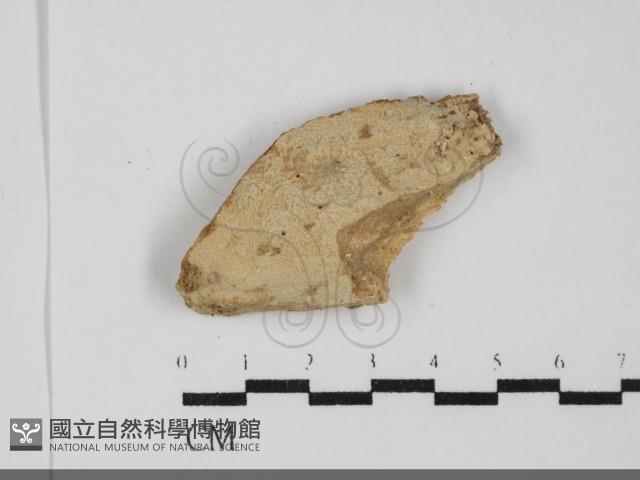 登錄號:F0031939藏品圖，第1張