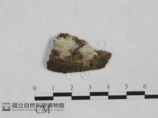 登錄號:F0024939藏品圖，第1張