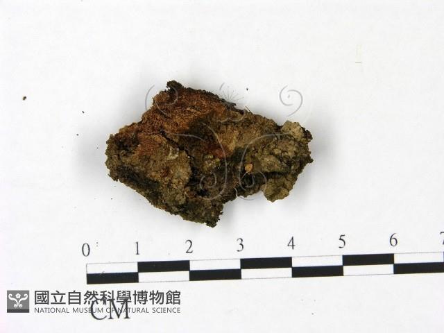 登錄號:F0022939藏品圖，第1張