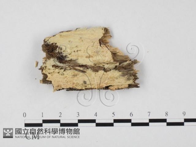 登錄號:F0017939藏品圖，第1張