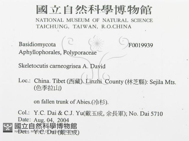 登錄號:F0019939藏品圖，第3張