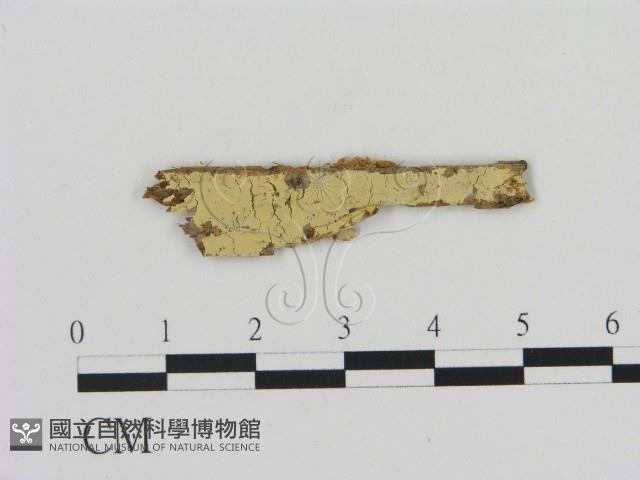 登錄號:F0016639藏品圖，第1張