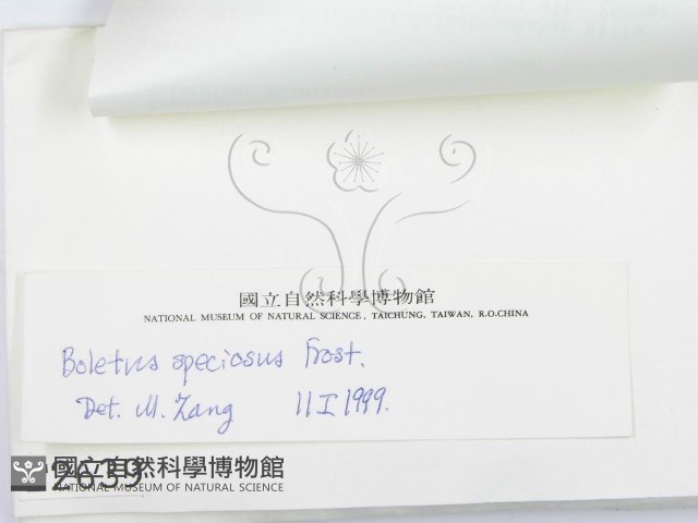 登錄號:F0002639藏品圖，第3張