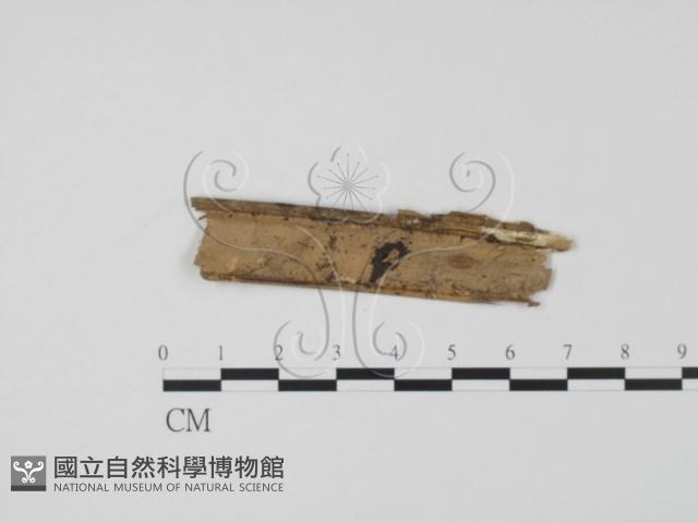 登錄號:F0019639藏品圖，第1張