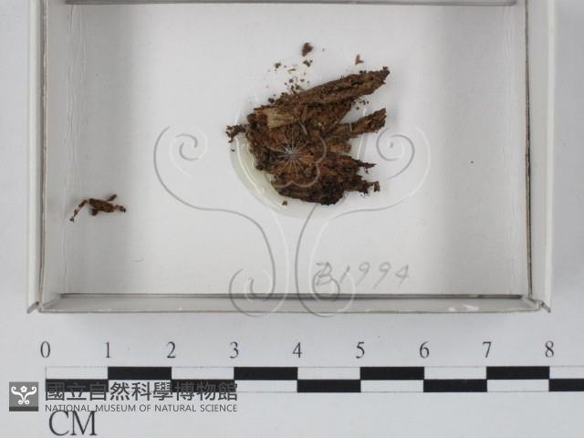 登錄號:F0018439藏品圖，第1張