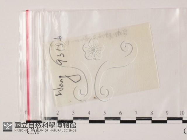 登錄號:F0001439藏品圖，第1張