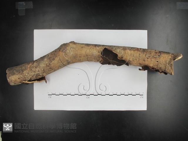 登錄號:F0002439藏品圖，第1張